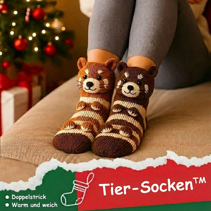 Chara - Chaussettes de Noël